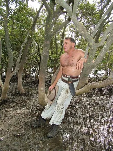 David Ireland sitting in a mangrove tree